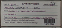 Image Associated With the Occurence